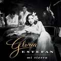 Mi Tierra by Gloria Estefan album cover